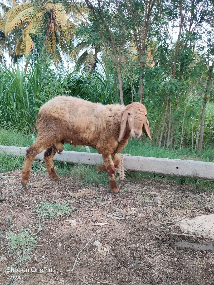 थंबनेल 2