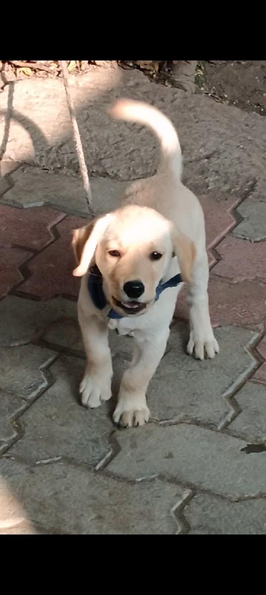 थंबनेल 3