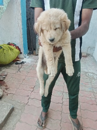 થંબનેલ 3