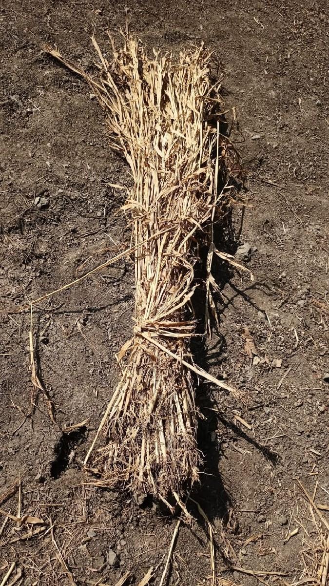 juvar ni niran vechvani che