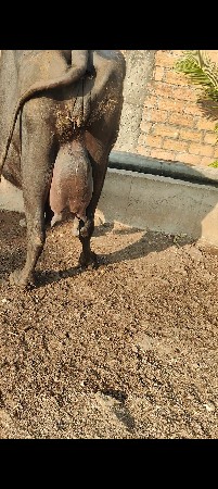 थंबनेल 3