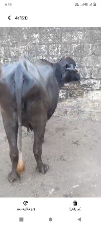 थंबनेल 3