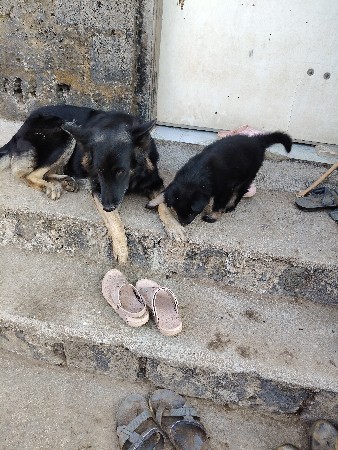 થંબનેલ 3