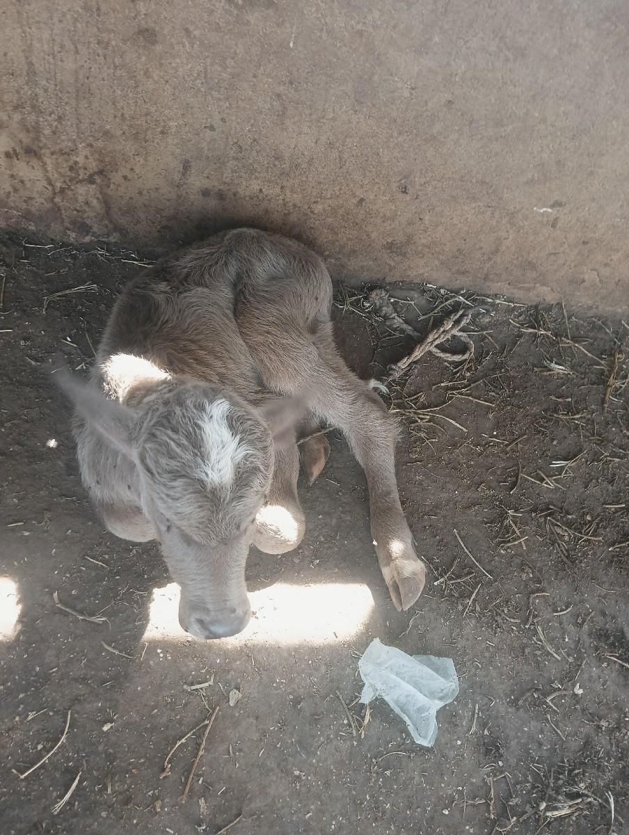 થંબનેલ 3