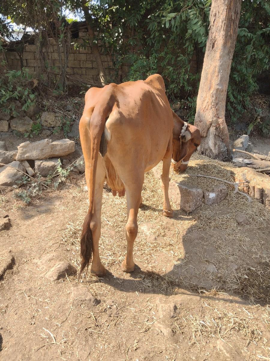 थंबनेल 2