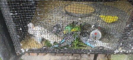 थंबनेल 2