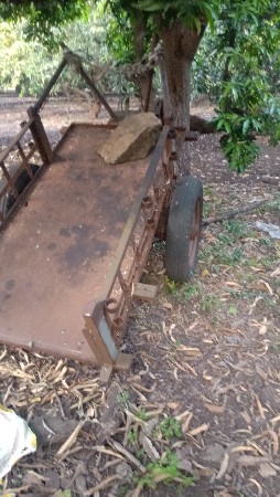 थंबनेल 3