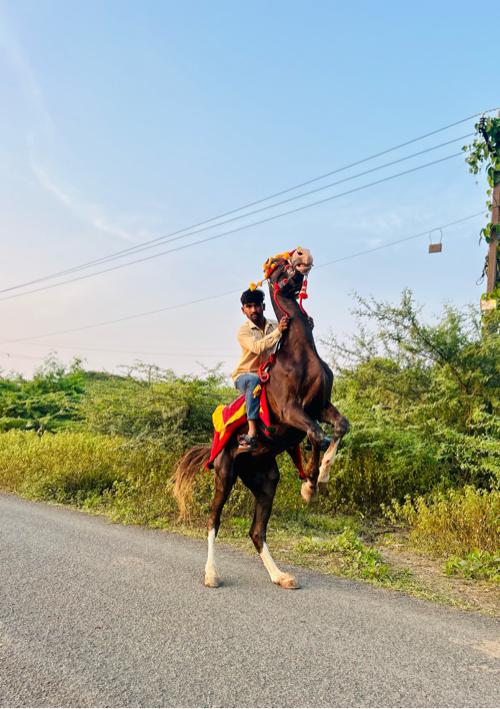 થંબનેલ 2