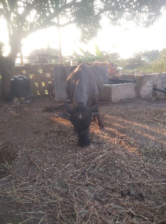 થંબનેલ 3