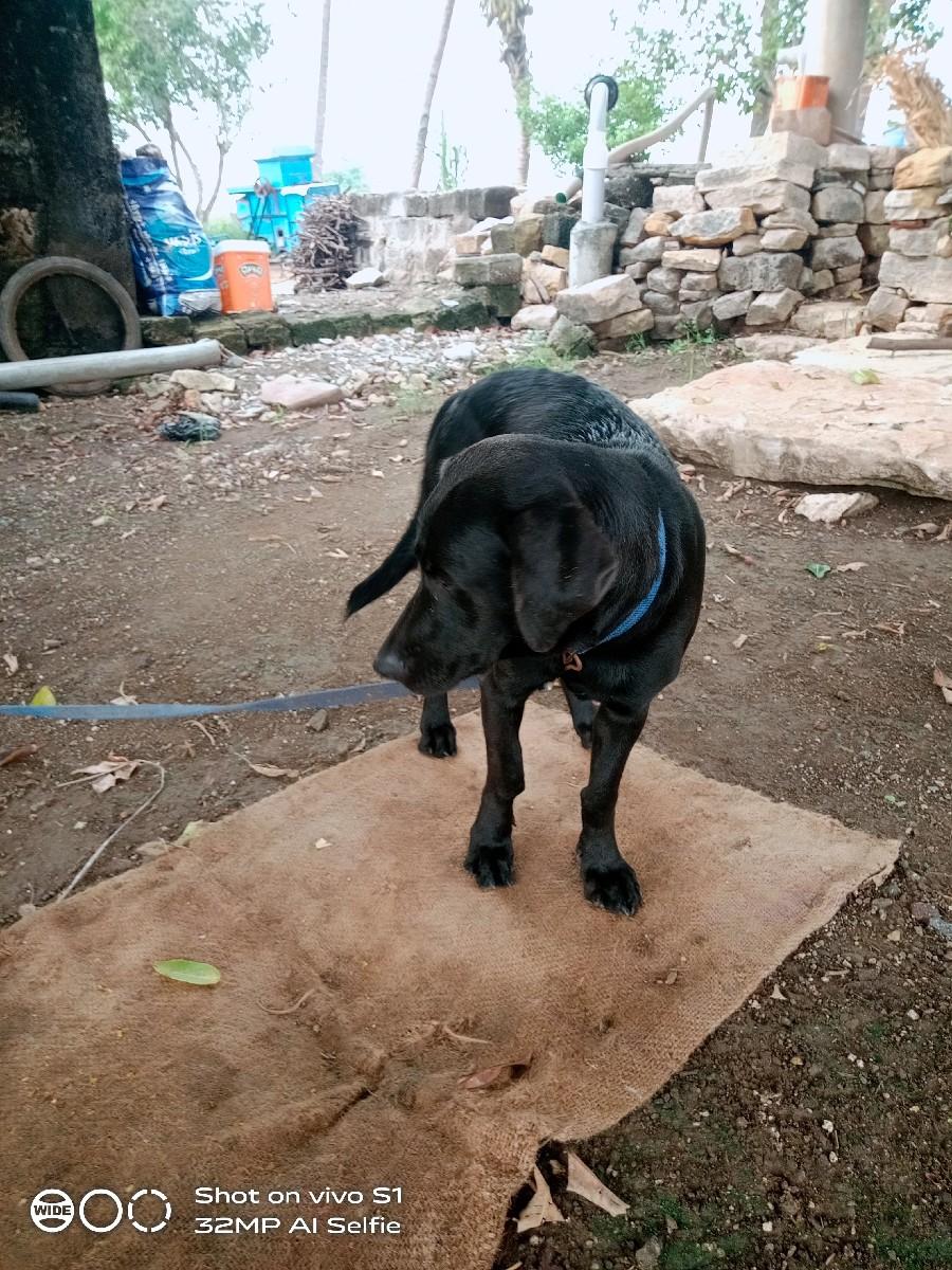 थंबनेल 2