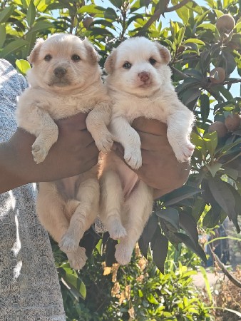 थंबनेल 3