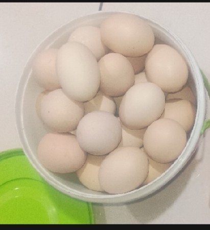 દેશી ઈંડા વેચવાના છે