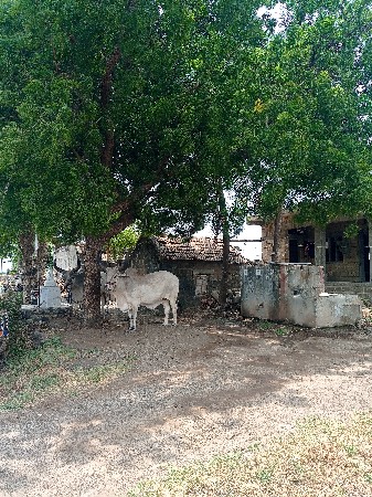 વેચવાના છે