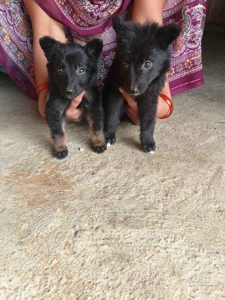 थंबनेल 3