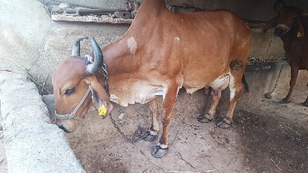 થંબનેલ 2