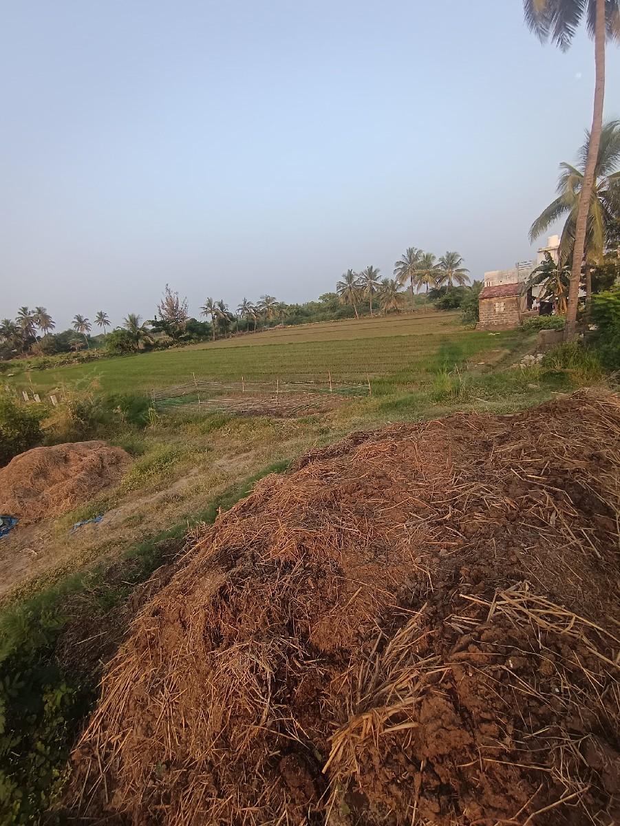 ચાણીયૂ ખાતર વેચવા નુ છે