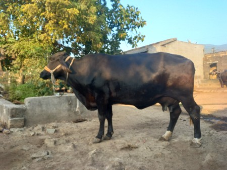 थंबनेल 2