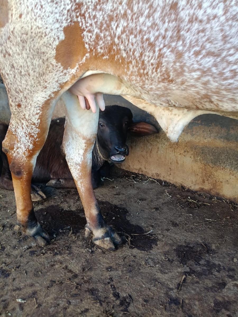 थंबनेल 2