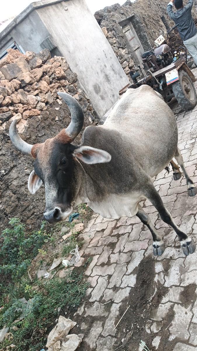 थंबनेल 3