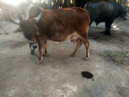 थंबनेल 2