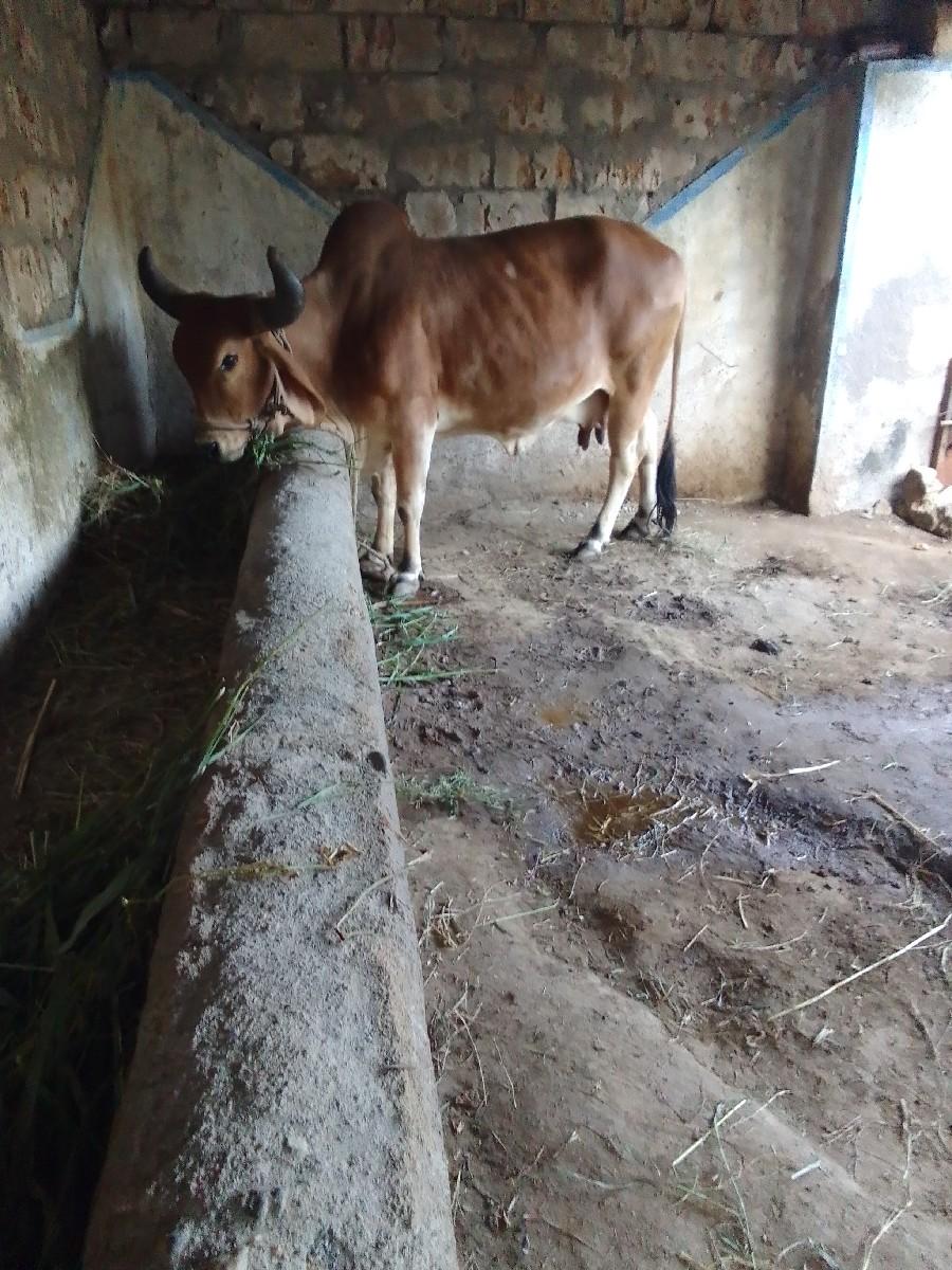 थंबनेल 3