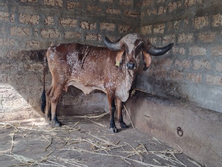 थंबनेल 3