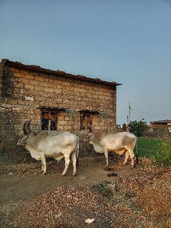 थंबनेल 2