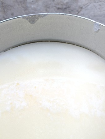 દેશી ગાયનું ઘી વેચવાનું છે કોઈને