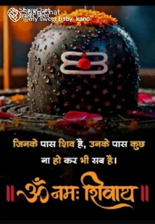 39 નંબર માંડવો વેચવાની છે માંડવી ભ