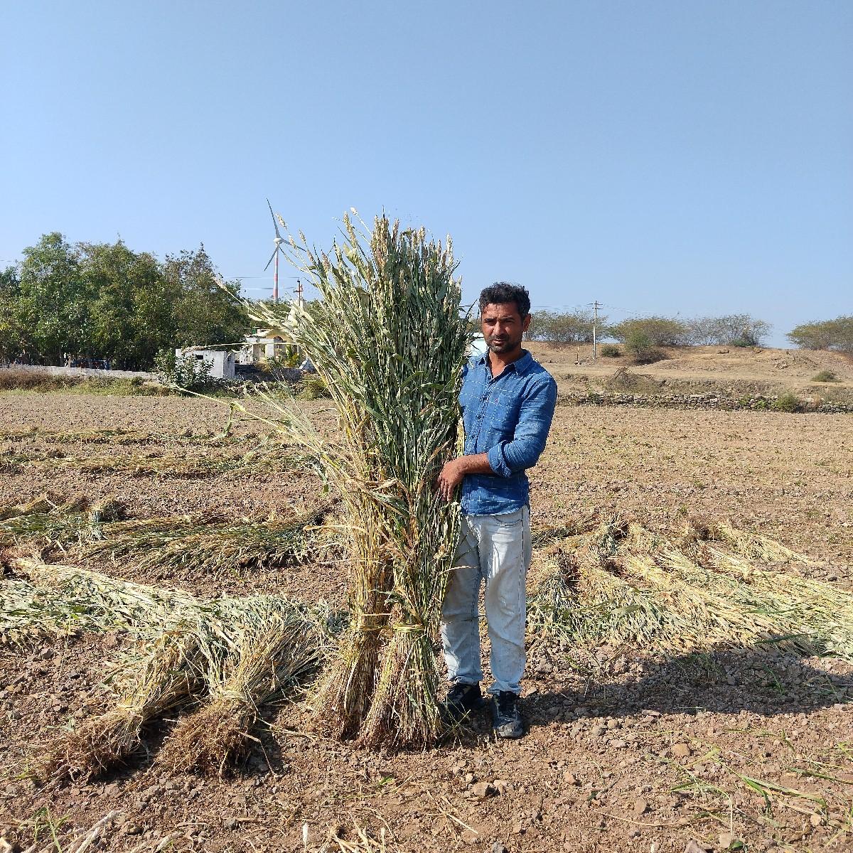 थंबनेल 3