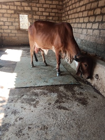 थंबनेल 2