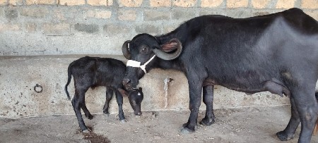 थंबनेल 3