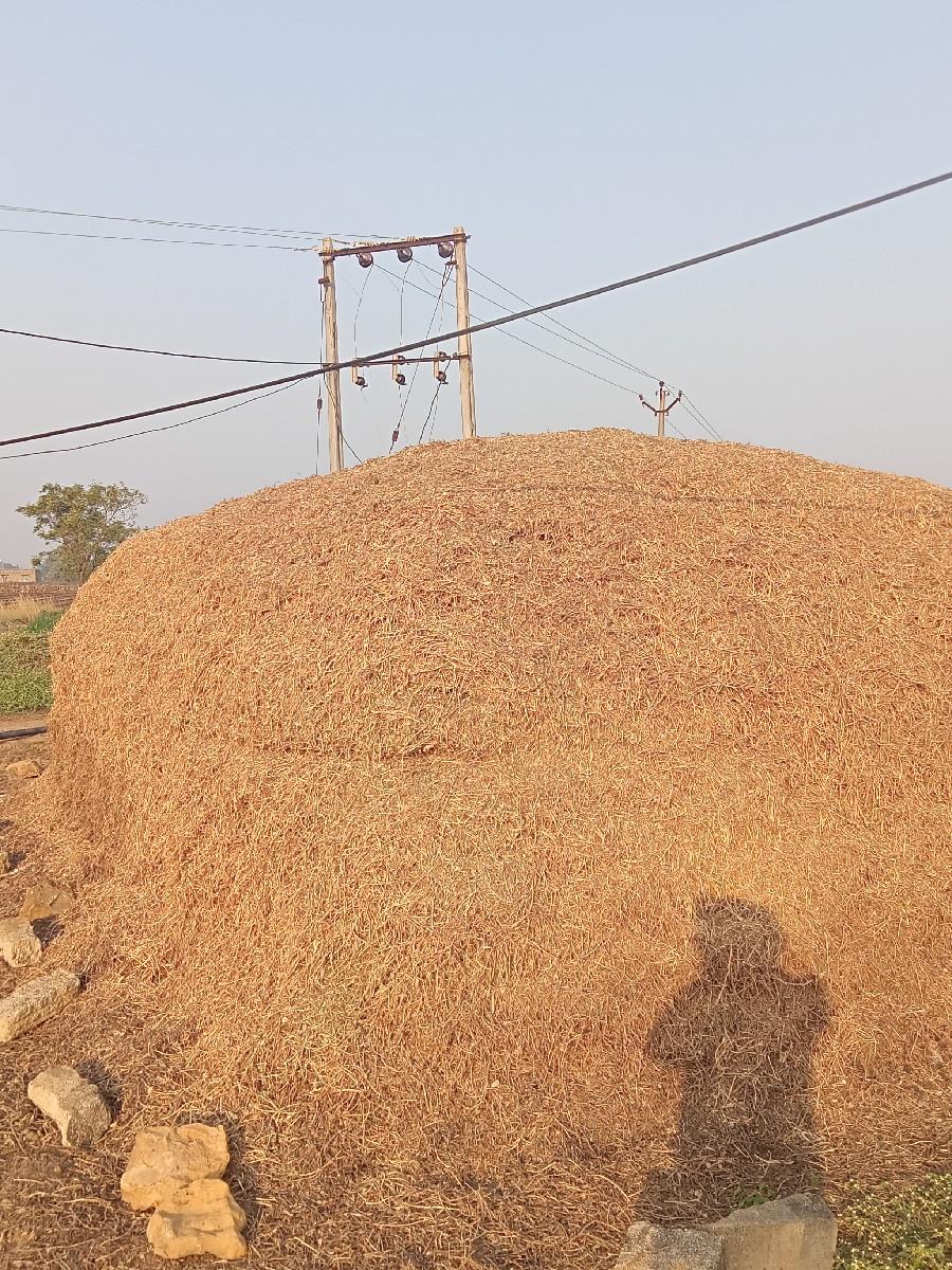 સારો 13વિધાનો.કોરોવેસ્વનોસે