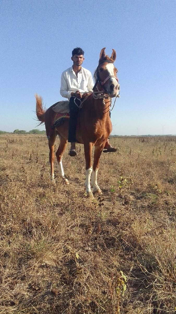 થંબનેલ 3