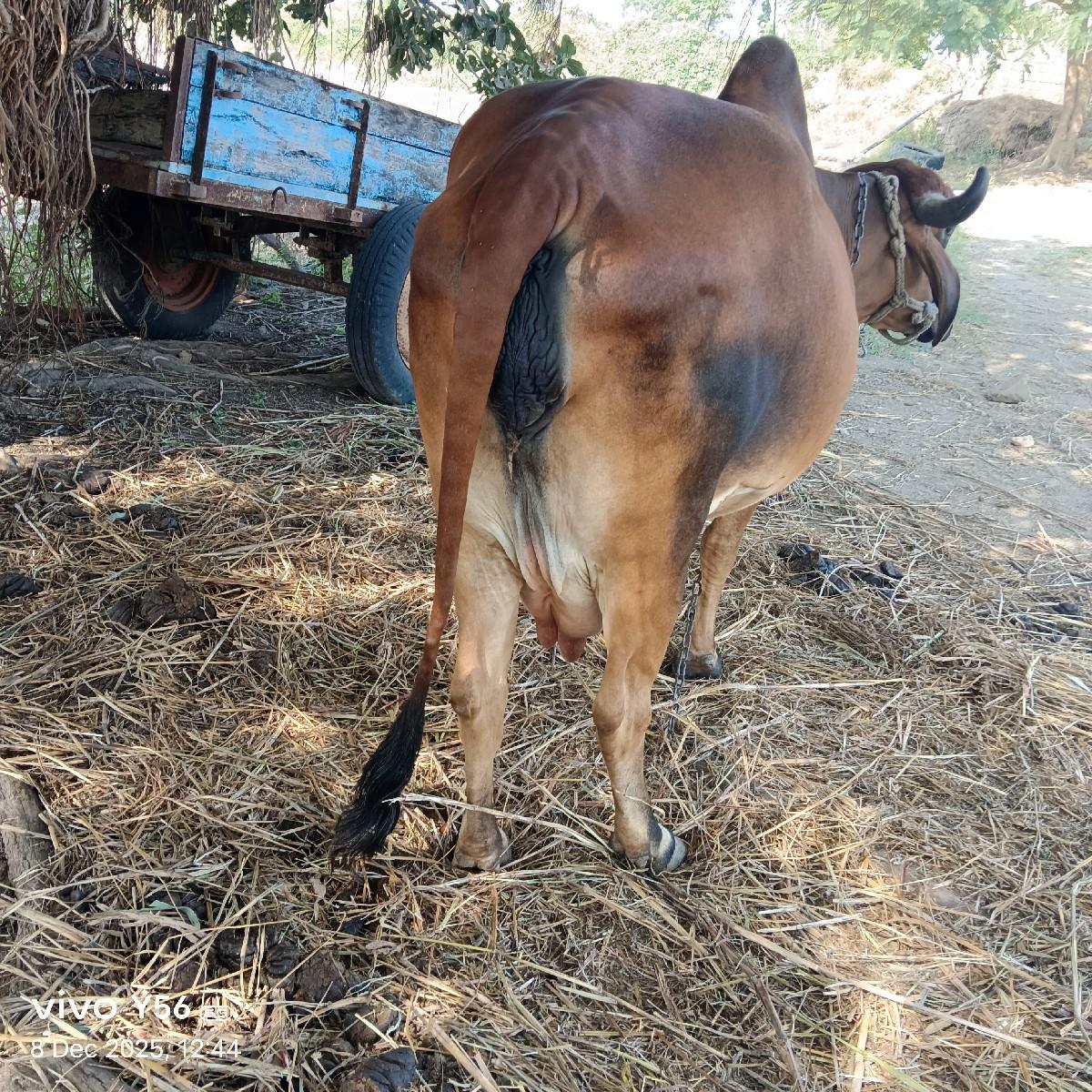 थंबनेल 2