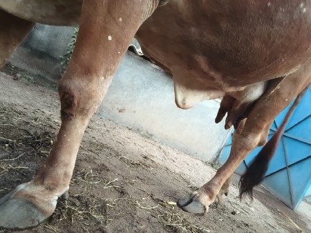 થંબનેલ 3