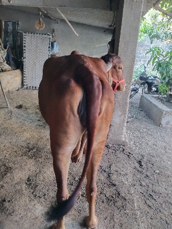 थंबनेल 2