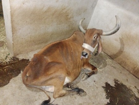 थंबनेल 2