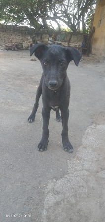 થંબનેલ 2