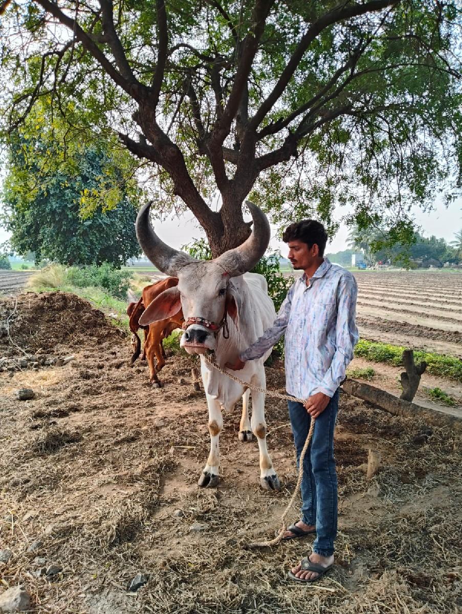 ખોટા‌ ફોન નાકરવા કીંમત ફીસ