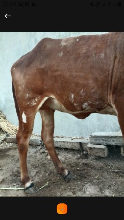 थंबनेल 2