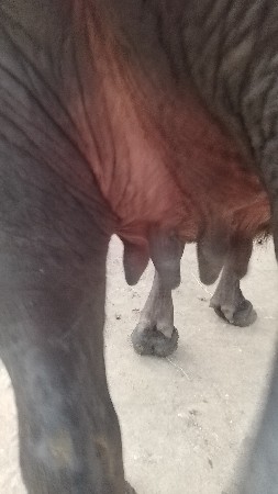 થંબનેલ 3