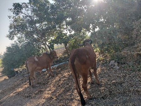 થંબનેલ 3