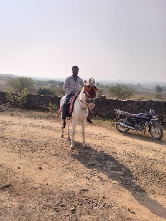 थंबनेल 3