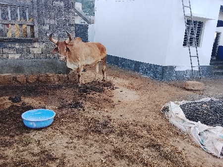 એક વાવણી કરે લો