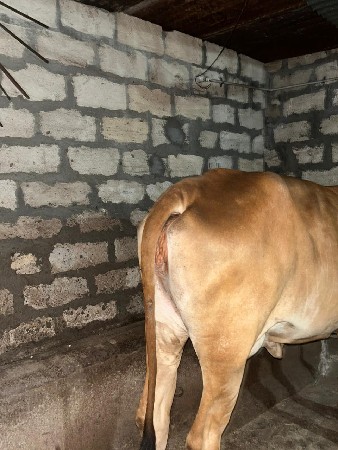 थंबनेल 3