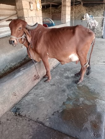 थंबनेल 2