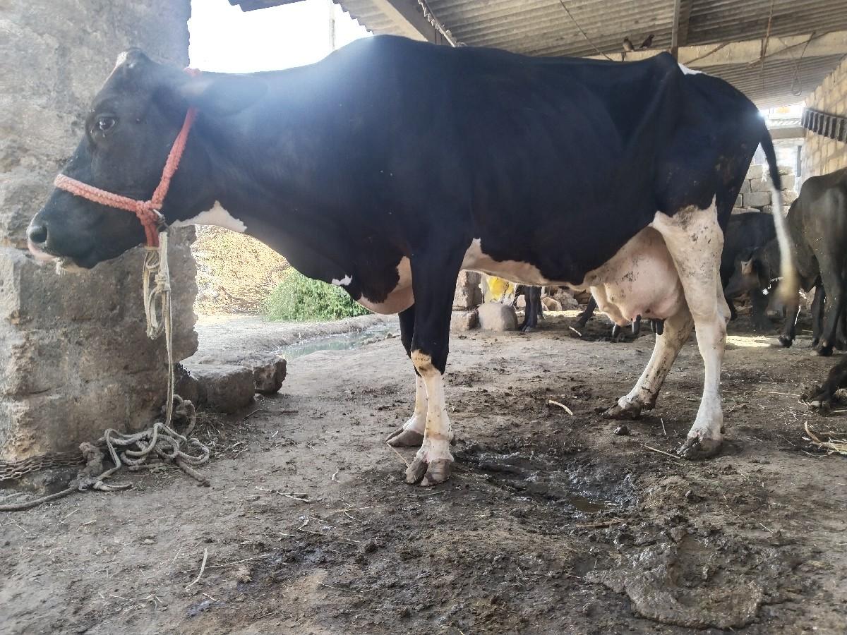 थंबनेल 2