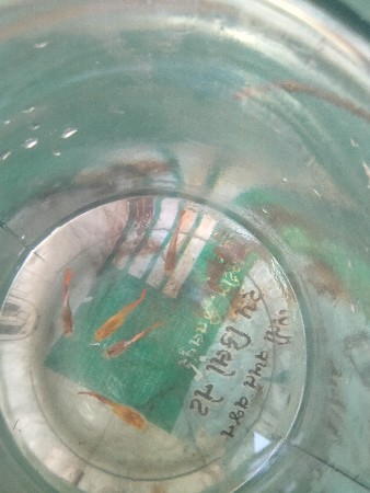 थंबनेल 2