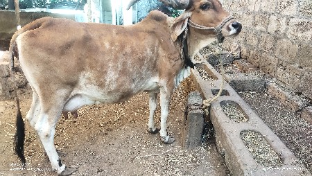 थंबनेल 2